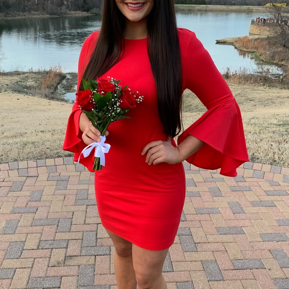 Lulus Bodycon Dress